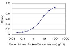 Anti-DTX3L Mouse Monoclonal Antibody [clone: 1D10]