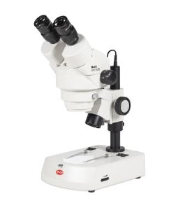 Stereomicroscope