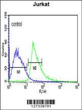 Anti-KLHL6 Rabbit Polyclonal Antibody (AP (Alkaline Phosphatase))