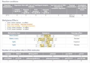 FERMFD0904 - ENZYME FD ACC65I 100µL (100RXN)