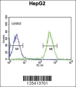 Anti-PUR4 Rabbit Polyclonal Antibody