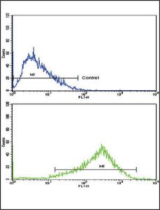 Anti-AP2A2 Rabbit Polyclonal Antibody