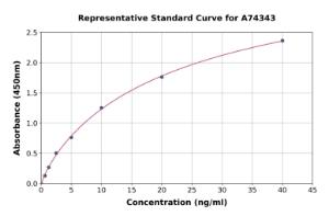 Representative standard curve for Rabbit Bcl-2 ELISA kit (A74343)