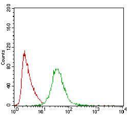 Anti-PON1 Mouse Monoclonal Antibody [clone: 4G8D3]