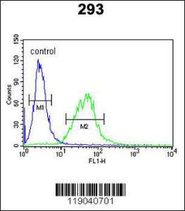 Anti-BCOR Rabbit polyclonal antibody unconjugated