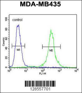 Anti-CCR8 Rabbit Polyclonal Antibody (Biotin)