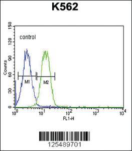 Anti-AVIL Rabbit Polyclonal Antibody