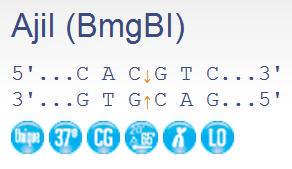 FERMER1941 - ENZYME AJII 200 UNITS