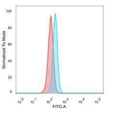 Flow cytometric analysis of PFA-fixed HeLa cells using Anti-PBX2 Antibody [PCRP-PBX2-1C4] followed by Goat Anti-Mouse IgG (CF&#174; 488) (Blue). Isotype Control (Red)