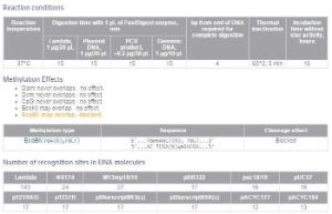 FERMFD0014 - ENZYME FD ALUI 100µL 100RXN