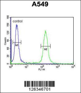 Anti-KLHL9 Rabbit Polyclonal Antibody (APC (Allophycocyanin))