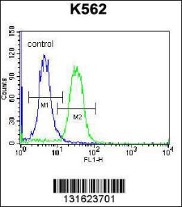 Anti-PCDHA6 Rabbit Polyclonal Antibody (FITC (Fluorescein Isothiocyanate))