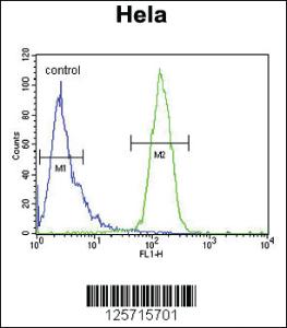 Anti-CLEC2B Rabbit Polyclonal Antibody