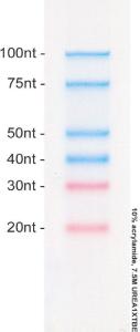 VWR® RiboReady™ Color Micro RNA Ladder