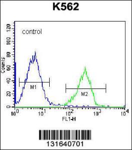 Anti-DEPD5 Rabbit Polyclonal Antibody (AP (Alkaline Phosphatase))