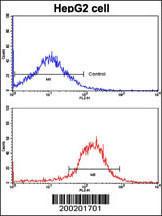 Anti-EGFR Mouse monoclonal antibody [clone: 10i41]