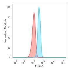 Anti-HOMEZ antibody