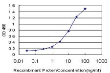 Anti-IFI16 Mouse Monoclonal Antibody [clone: 1B4]