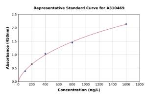 Representative standard curve for Human RRM1 ELISA kit (A310469)