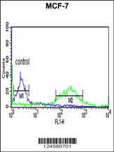 Anti-ETS2 Rabbit Polyclonal Antibody (AP (Alkaline Phosphatase))