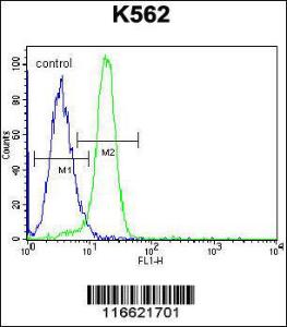 Anti-NLK-T286 Rabbit Polyclonal Antibody (APC (Allophycocyanin))