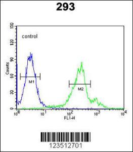 Anti-CDC42EP3 Rabbit Polyclonal Antibody