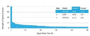 Analysis of protein array containing more than 19,000 full-length human proteins using Anti-ZFYVE28 Antibody [LST2/2426] Z-Score and S- Score