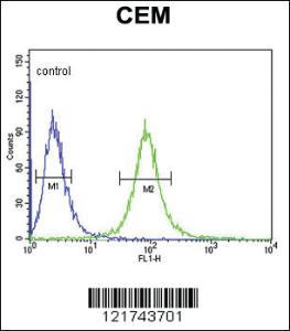 Anti-CD46 Rabbit Polyclonal Antibody