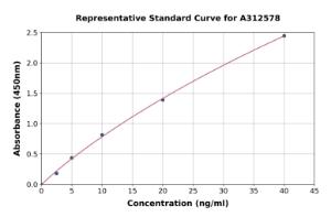 Representative standard curve for Human beta Synuclein ELISA kit (A312578)