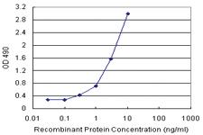 Anti-ZNF259 Antibody Pair