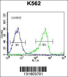 Anti-PCDHB14 Rabbit Polyclonal Antibody (FITC (Fluorescein Isothiocyanate))