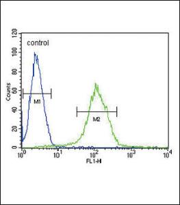 Anti-CFHR5 Rabbit Polyclonal Antibody (PE (Phycoerythrin))