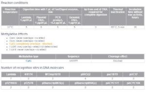 FERMFD0944 - ENZYME FD PSP1406I 20µL (20RXN)