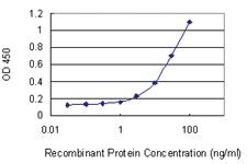 Anti-RBP7 Mouse Monoclonal Antibody [clone: 4F4]