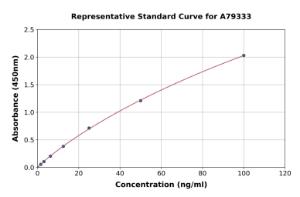 Representative standard curve for Human Fibronectin ELISA kit (A79333)