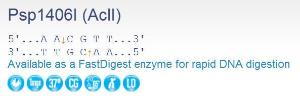 FERMER0941 - ENZYME PSP1406I 300 UNITS