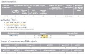 FERMFD0764 - ENZYME FD PSP5II 50µL (50RXN)