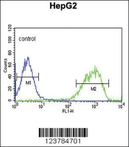 Anti-EREG Rabbit Polyclonal Antibody