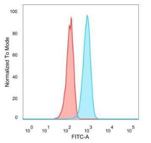 Flow cytometric analysis of PFA-fixed U87 cells using Anti-IL-7 Antibody [IL7/4013] followed by Goat Anti-Mouse IgG (CF&#174; 488) (Blue). Isotype Control (Red).