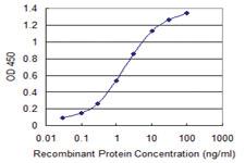 Anti-SHC3 Mouse Monoclonal Antibody [clone: 1C11]