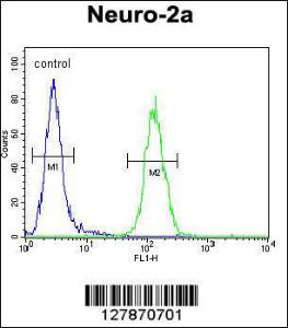 Anti-LCN10 Rabbit Polyclonal Antibody (FITC (Fluorescein Isothiocyanate))