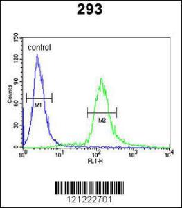 Anti-EPS8L3 Rabbit Polyclonal Antibody