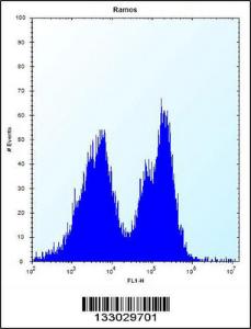 Anti-PCDHGA3 Rabbit Polyclonal Antibody