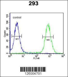 Anti-EXOC3L2 Rabbit Polyclonal Antibody (FITC (Fluorescein Isothiocyanate))