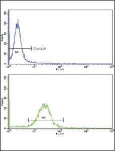 Anti-EPN3 Rabbit Polyclonal Antibody