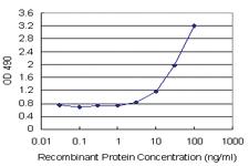 Anti-IFITM3 Antibody Pair