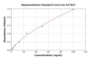 Representative standard curve for Human Acetylcholinesterase ELISA kit (A77627)