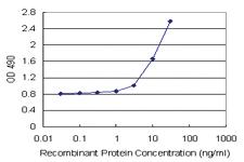 Anti-IFITM3 Antibody Pair