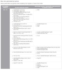 FERMER0635 - ENZYME PVUII 5000 UNITS