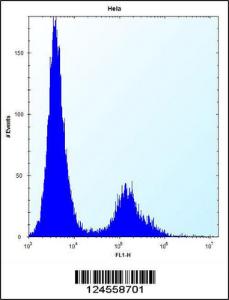 Anti-VDR Rabbit Polyclonal Antibody (HRP (Horseradish Peroxidase))